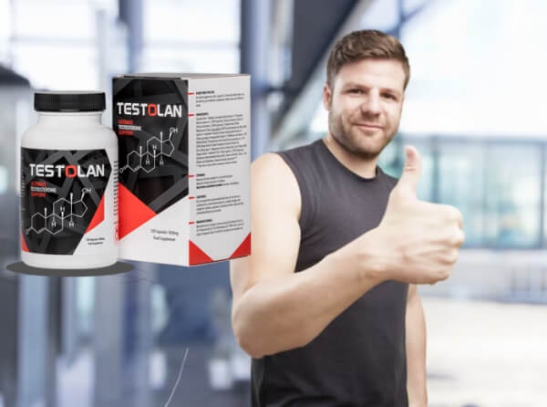 Hur man använder Testolan Instruktioner