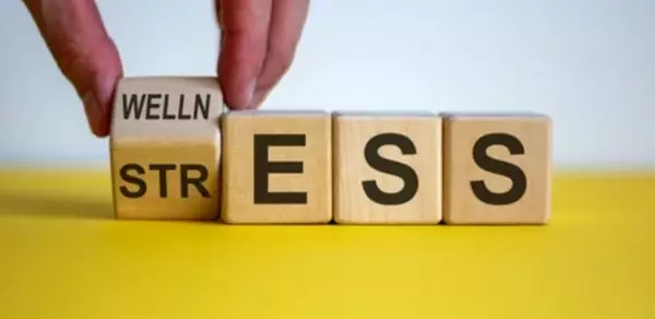 Sammansättning och ingredienser