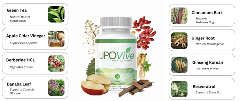 Innehåll och ingredienser