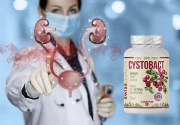 Hur man använder Cystobact – Anvisningar