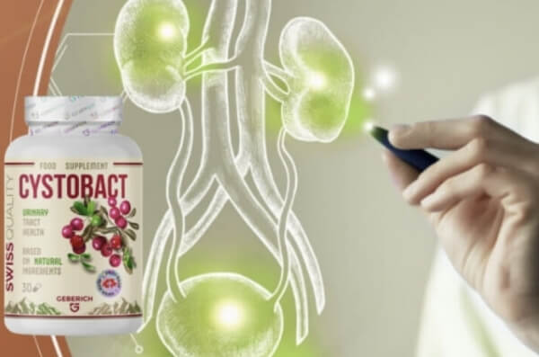 Cystobact Pris i Sverige och var man kan köpa det