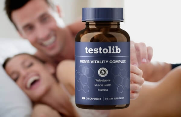 Användningsanvisning för TestoLib Användningsanvisning för TestoLib
